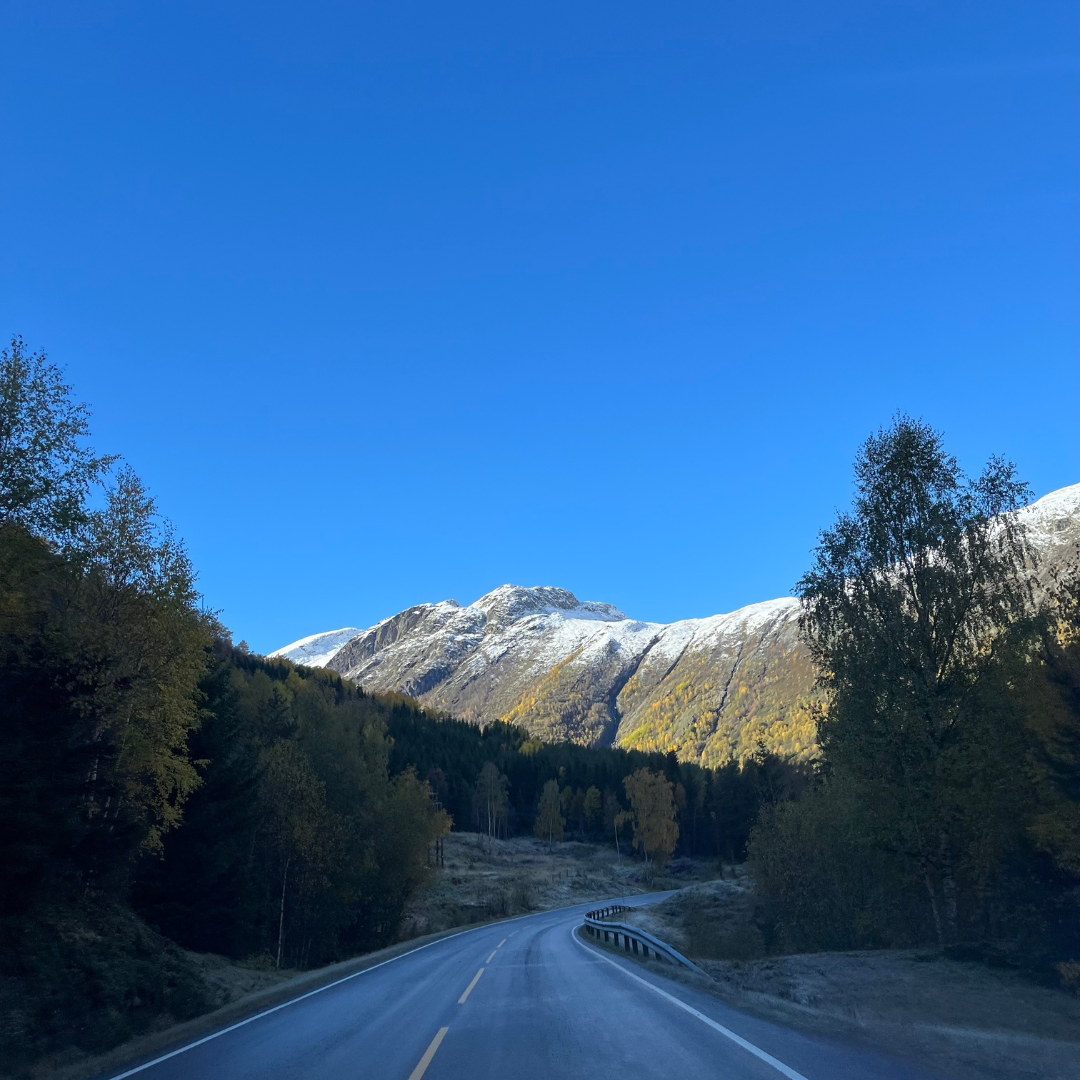 Asfaltert veg med høge fjell rundt.
