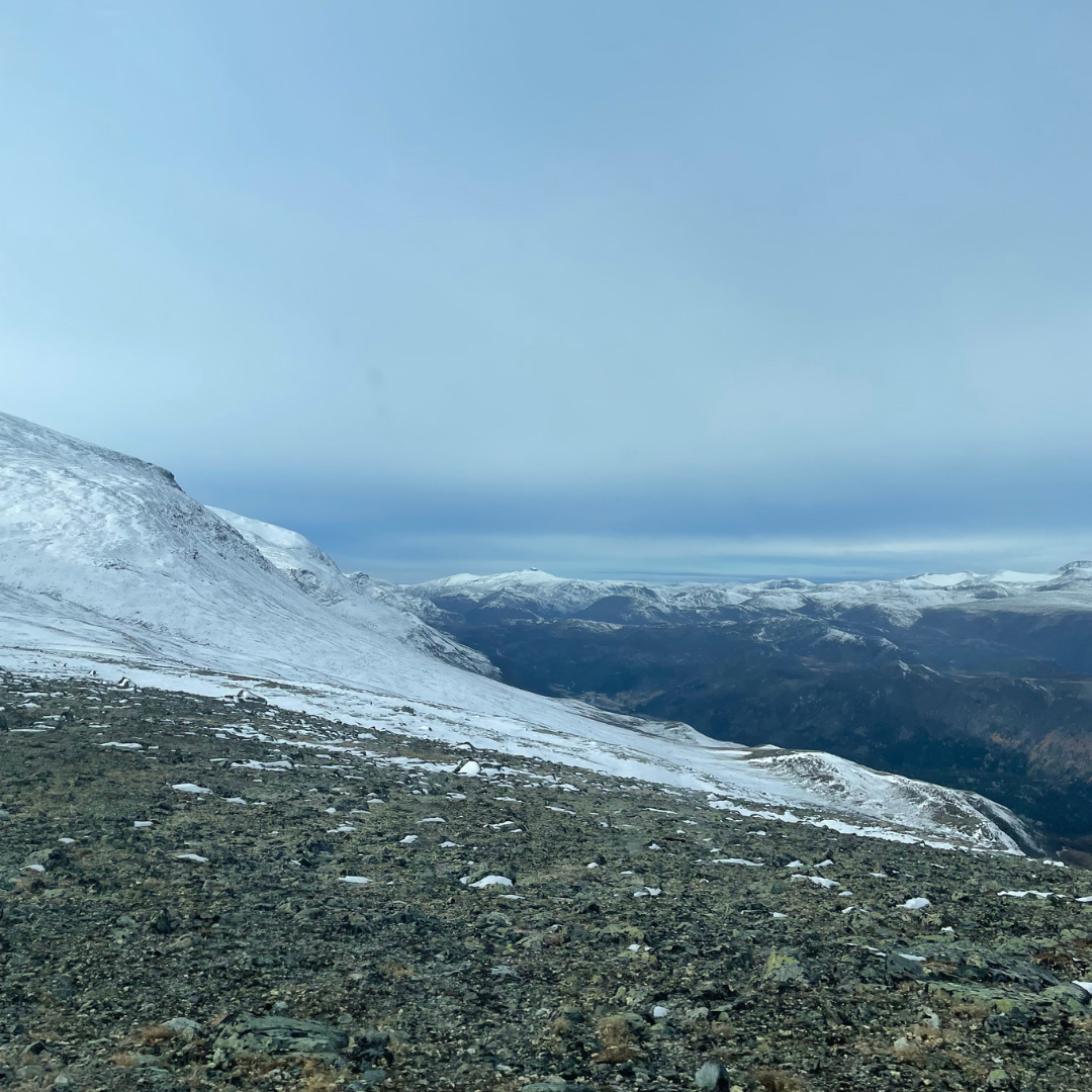 Snø og fjell.