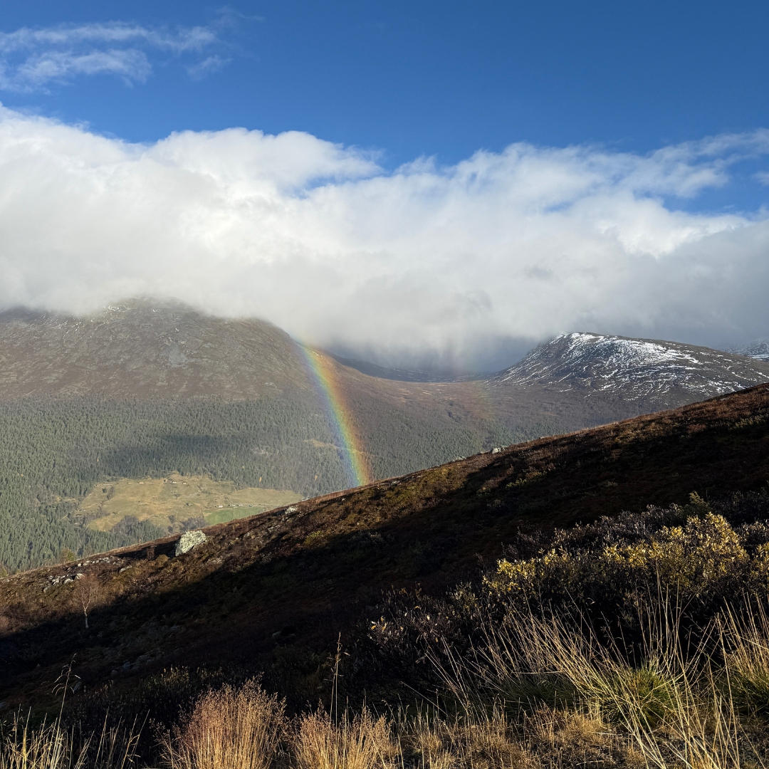 Regnboge på fjellet.